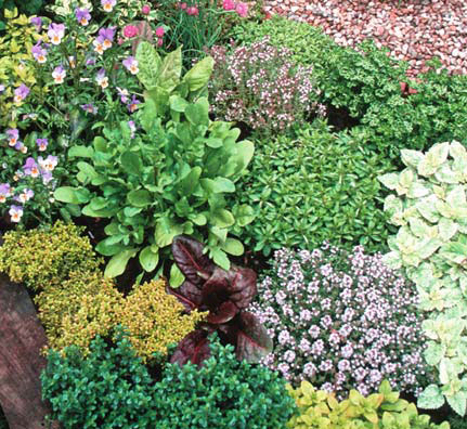 infoblatt_2_07_nutzgarten_kraeutergarten_02