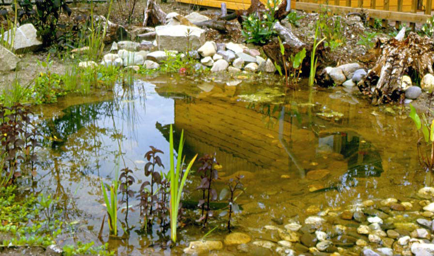 infoblatt_3_09_naturnahe_folienteich_03