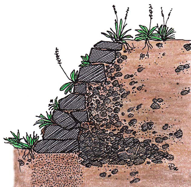 infoblatt_3_10_naturnahe_mauern_01