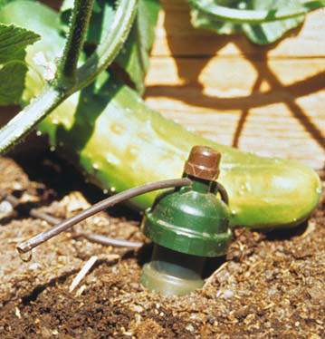 infoblatt_3_12_naturnahe_wassergarten_03